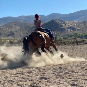 Meet your Posher, Danielle